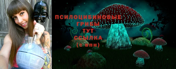 хмурый Балабаново